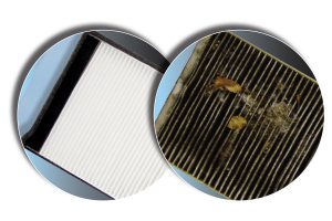 picture of a cabin air filter